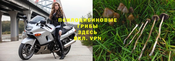твердый Осинники