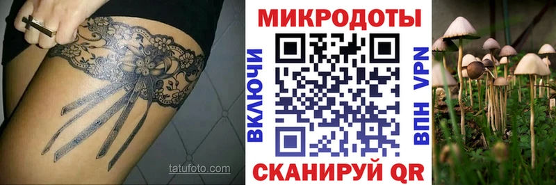 Псилоцибиновые грибы Psilocybine cubensis  купить наркотики сайты  Южно-Сухокумск 